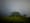 Trees in a green meadow with a dark grey cloudy sky